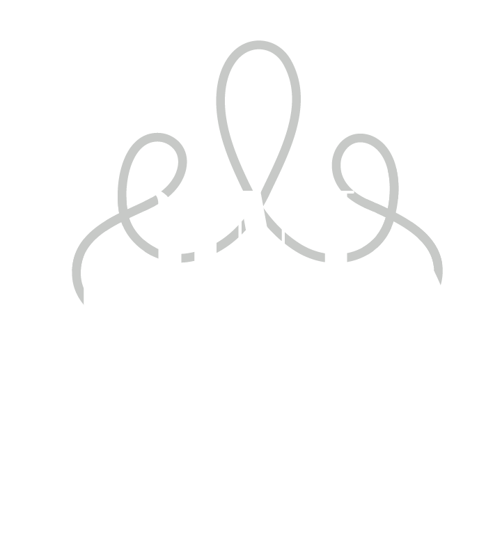 Join Us: Wedding Planner on Lake Como